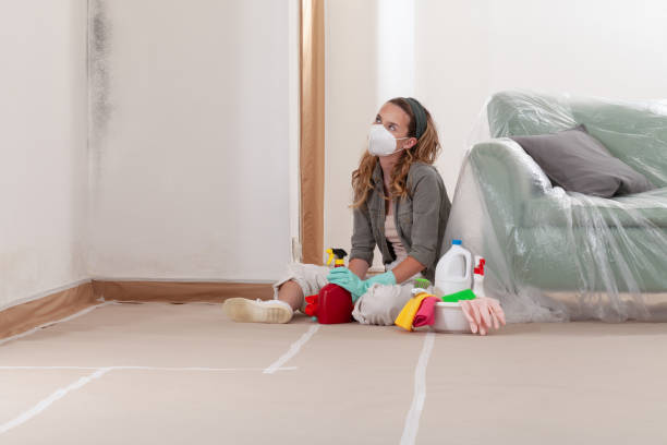 Reliable Mold Removal contractor in Chatham, IL by WQB Mold Removal